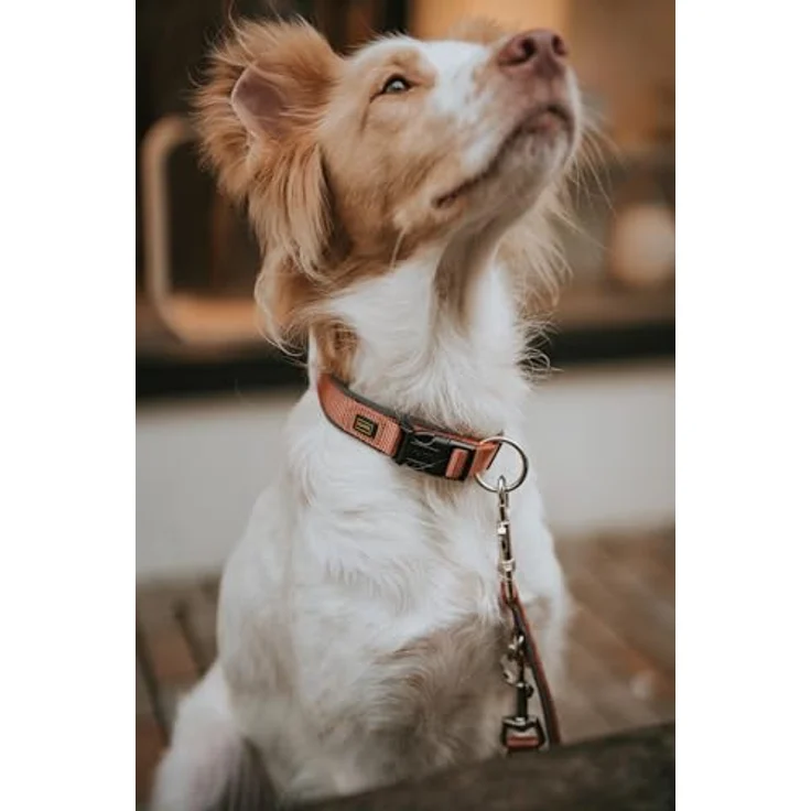 Hunter Tierbedarf Hunde-Halsband Neopren Vario Plus, pflegeleicht, kupfer/grau – Bild 6