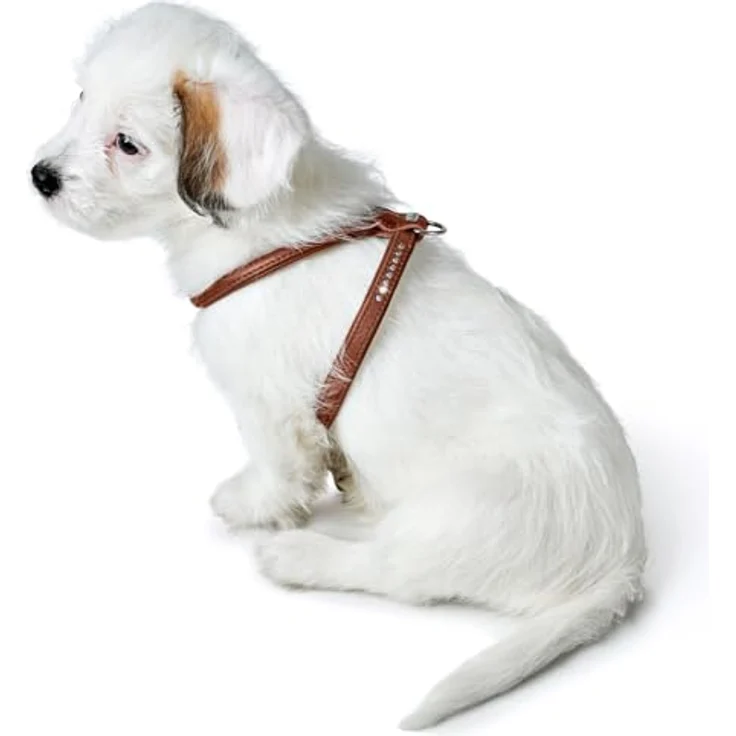 Hunter Tierbedarf Hunde-Geschirr Round & Soft Canadian Up schwarz, leichtes Premiumleder-Geschirr für kleine Hunde – Bild 6