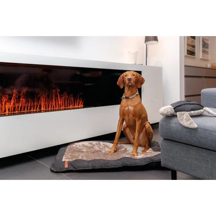 TRIXIE Zug-Stopp Hundehalsband BE Nordic L Sand/schwarz– bequemes Hundehalsband große Hunde mit Zugbegrenzung - robust & elegant – 17284 – Bild 4