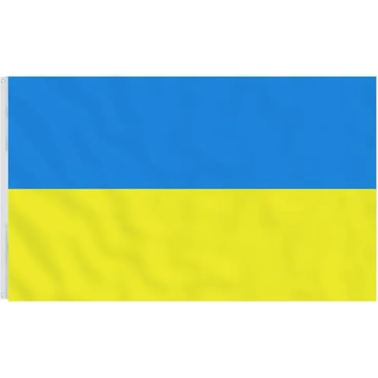 vidaXL Flagge Ukraine, mit Messingdurchgängen, 90x150 cm