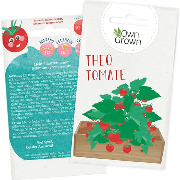 Balkon Tomaten Samen Tomatensamen Für Kinder Und Erwachsene Gemüse Samen Für Ca: Tomate Theo