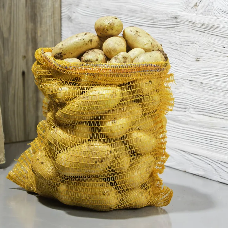 Windhager Netzsäcke, 50 x 80 cm, 10 Stück