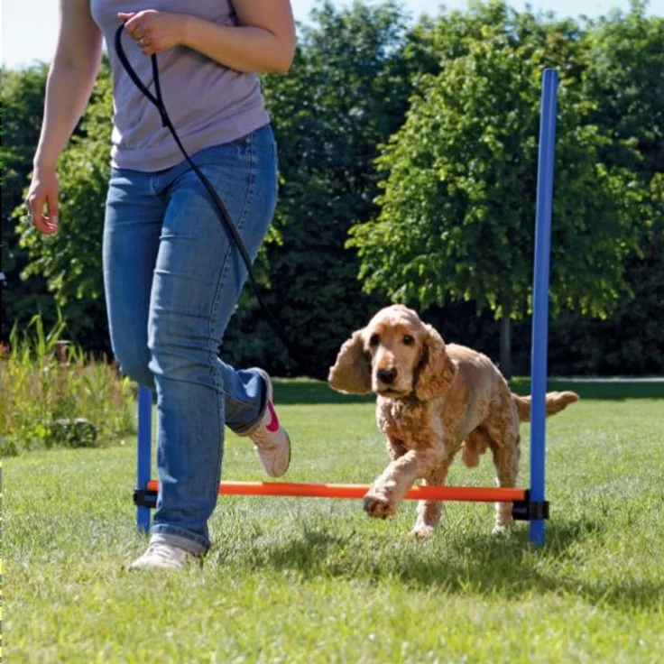 Trixie Dog Activity Agility Hürde, Kunststoff 123x115 cm ø 3 cm blau-orange