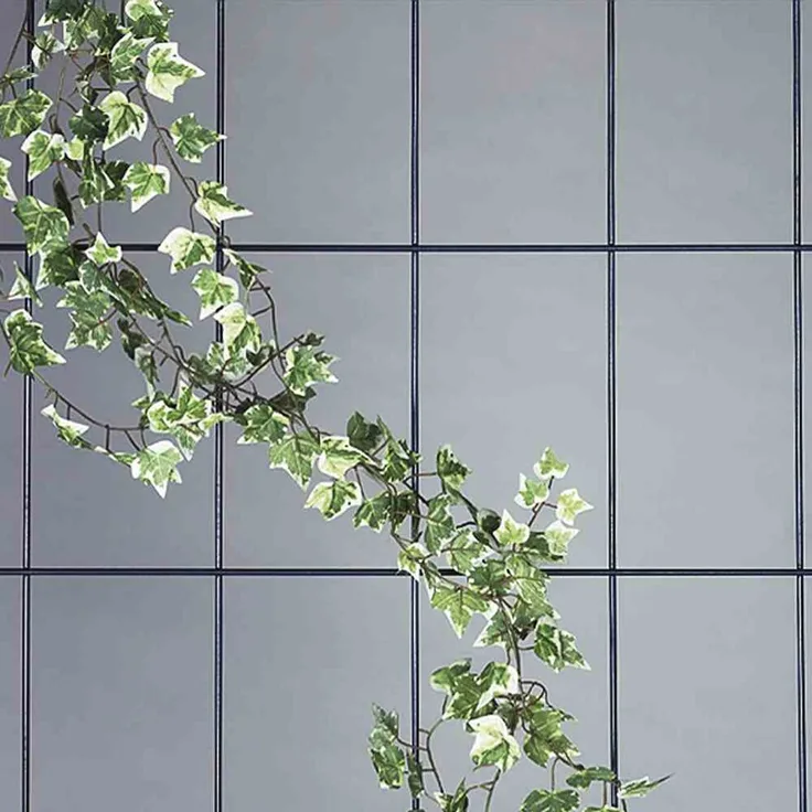 Siena Garden Spalier 5-strebig, braun Maße: 150 x 75 cm