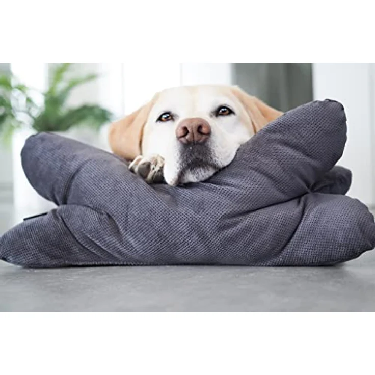 Lebon - Cruto XL - Hundekissen Kopfkissen - Zum entspannen und Spielen Made in EU – Bild 1