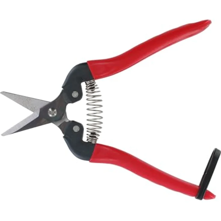 Ars 300SS, Traubenschere, 1228-00 mittelgroß 17,1 cm 100g Gartenschere Leseschere Ernteschere – Bild 6