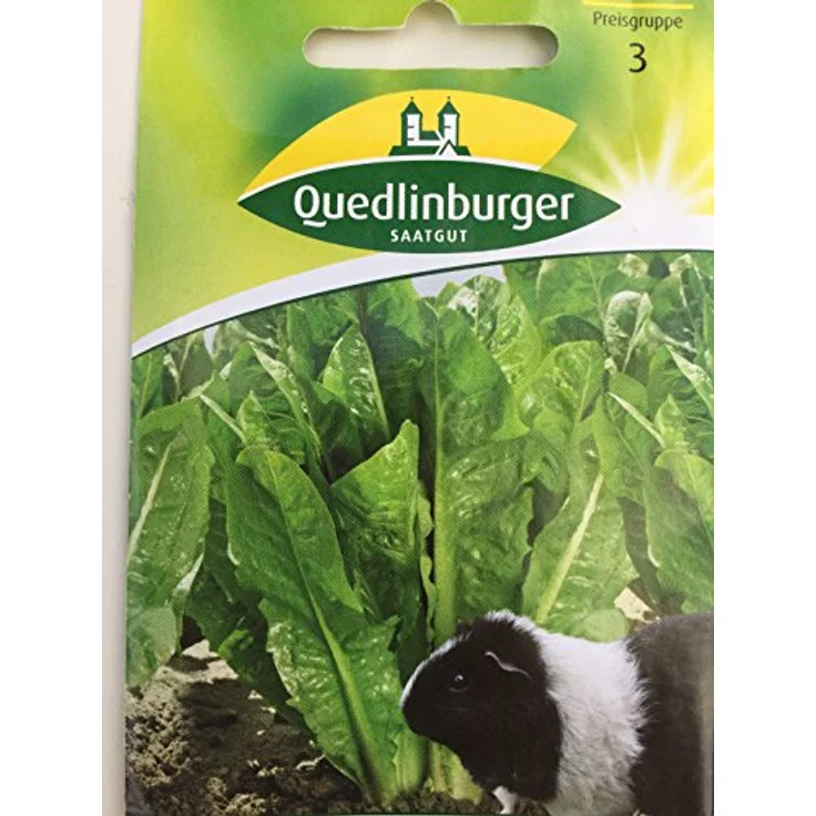 QUEDLINBURGER Blattzichorie (Futterzichorie) Witloof – Bild 2