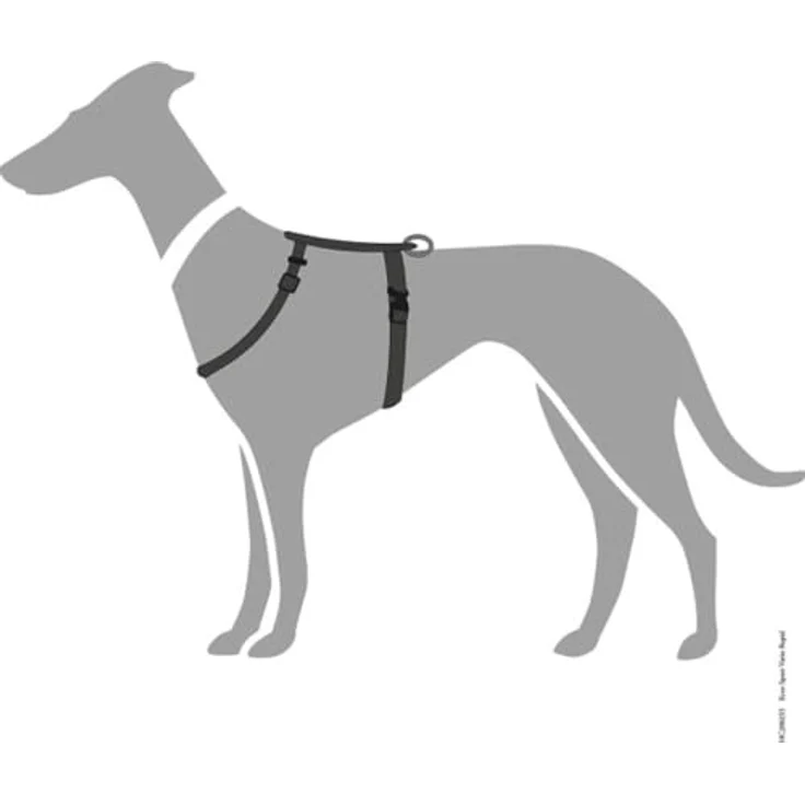 Hunter Tierbedarf Hunde-Geschirr Ecco Sport Vario Rapid schwarz, Nylon mit Steckverschluss – Bild 4