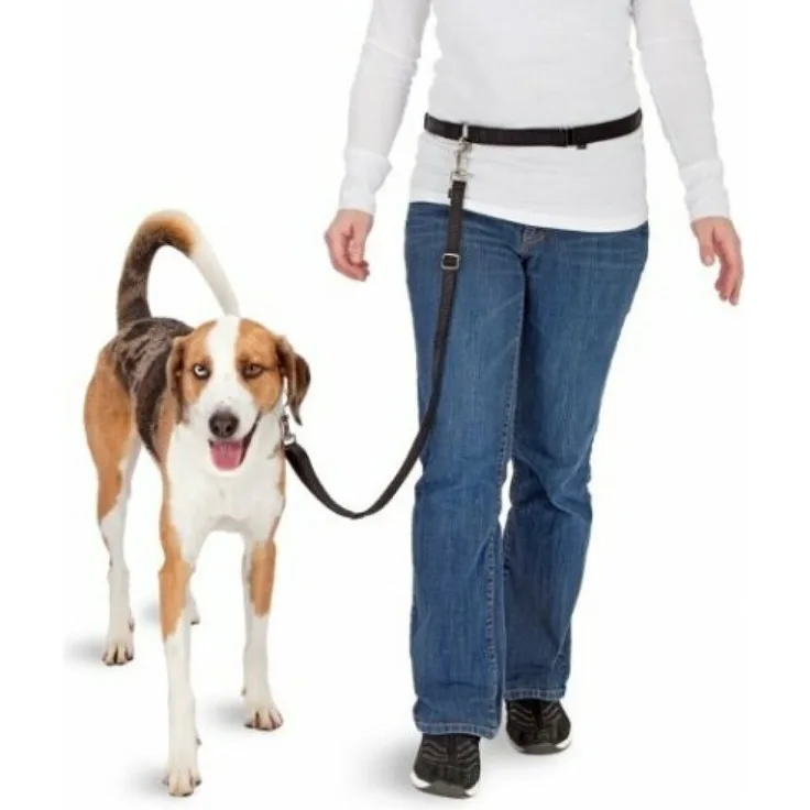 Pawise Hundeleine Hands Free Doggy Bike Jogger Kit, für Hunde bis 40 kg, mit elastischem Leinenende und reflektierenden Streifen