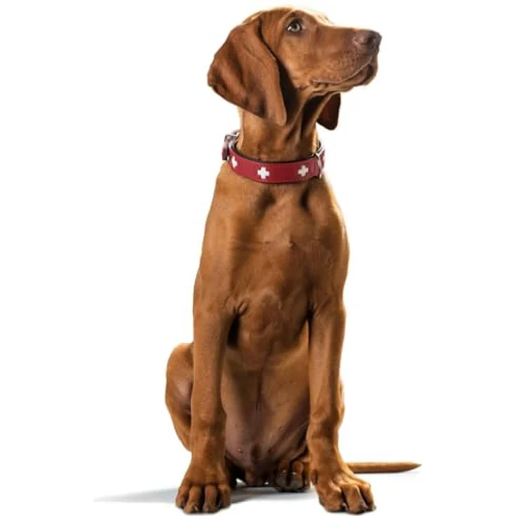 Hunter Hunde-Halsband Swiss rot-schwarz M – Bild 6