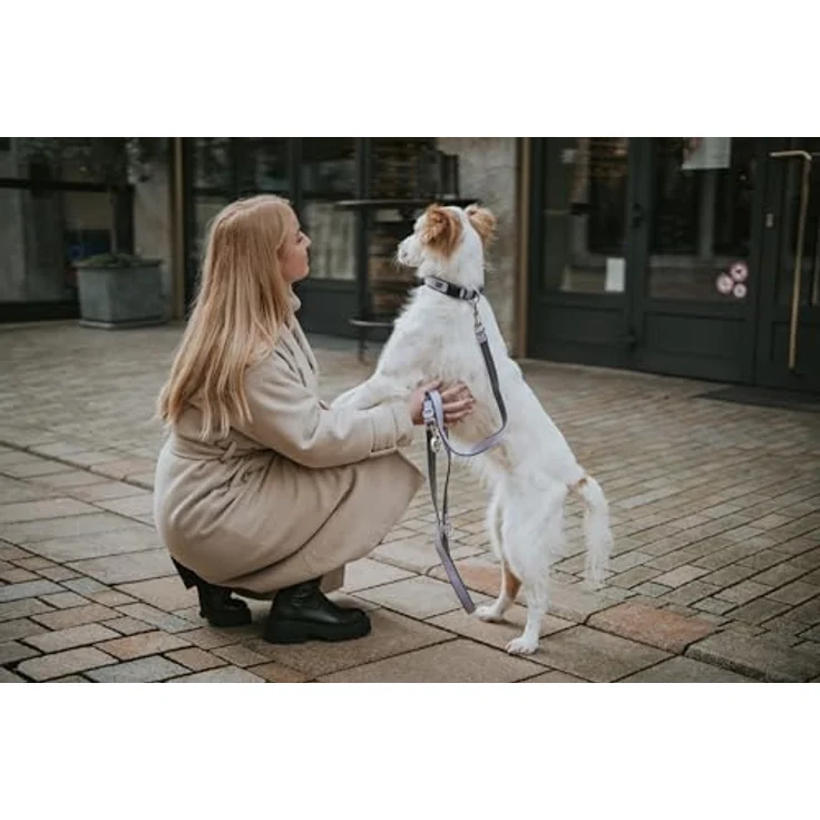 HUNTER Verstellbare Führleine NEOPREN, Lavendel-grau, strapazierfähiges Nylon, 3-fache Verstellmöglichkeit, weiche Neoprenpolsterung, Größe: 25-200 – Bild 5