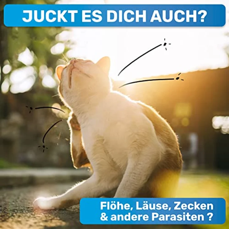 BluePet "FlohGo" Professioneller Flohkamm & Läusekamm Für Hunde & Katzen - Sanft & Sicher Dank Abgerundeter Zinken – Bild 2