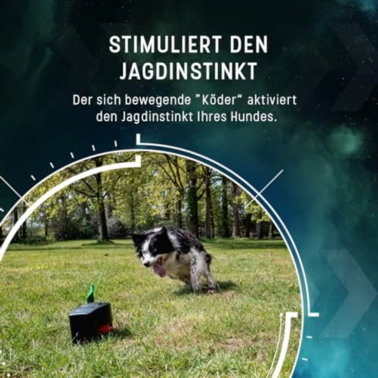 Dog Comets Star Chaser, Hundespielzeug mit 9 Geschwindigkeiten bis zu 50 km/h, fernsteuerbar bis 50 m, inklusive 3 künstlicher Beutetiere und Zubehör – Bild 3