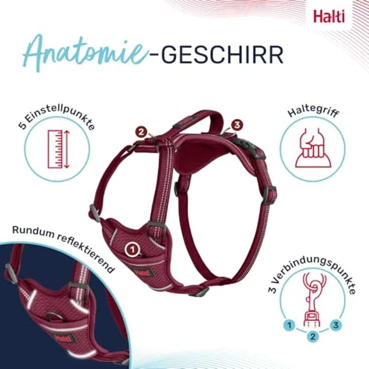 Company of Animals HALTI Anatomy Hundegeschirr mit Griff, 3 Verbindungspunkte, verstellbar, Neoprenpolsterung, reflektierend, Größe XS, Magenta – Bild 3