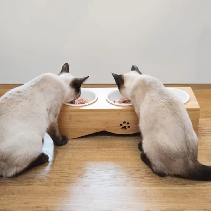Navaris Futterstation Futternäpfe für Katzen und Hunde - Futternapf Set aus Porzellan - 3X Fressnapf Katzennapf - spülmaschinenfest – Bild 2