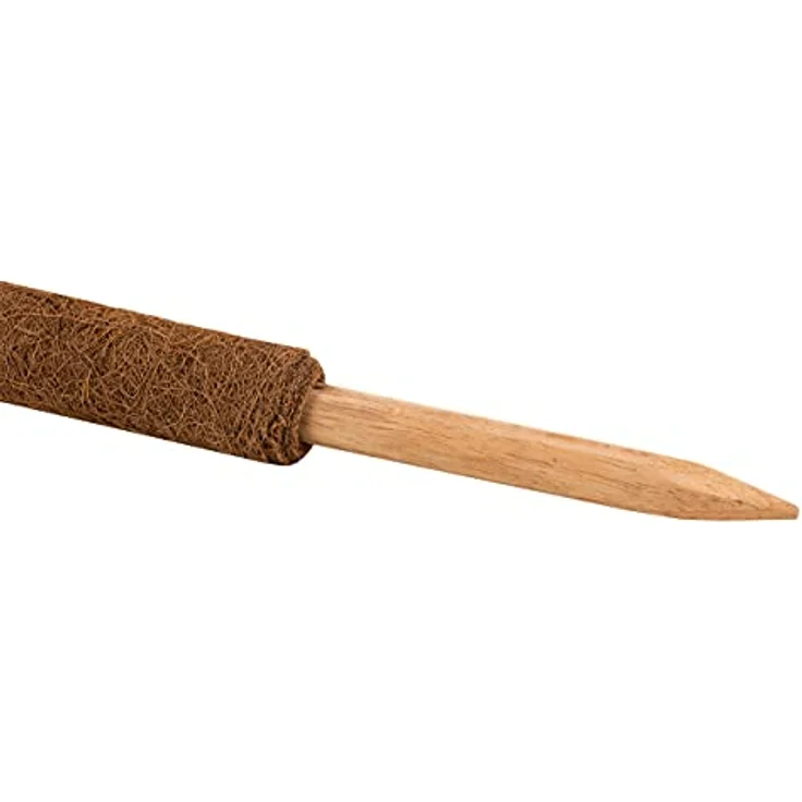 2x Kokos Pflanzstab 110 cm Rankstab Rankhilfe – Bild 4