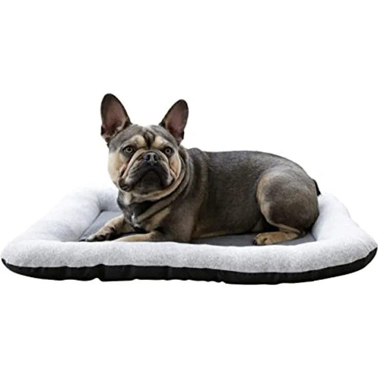 Kerbl Liegekissen Graphene, 55 x 36 cm, grau