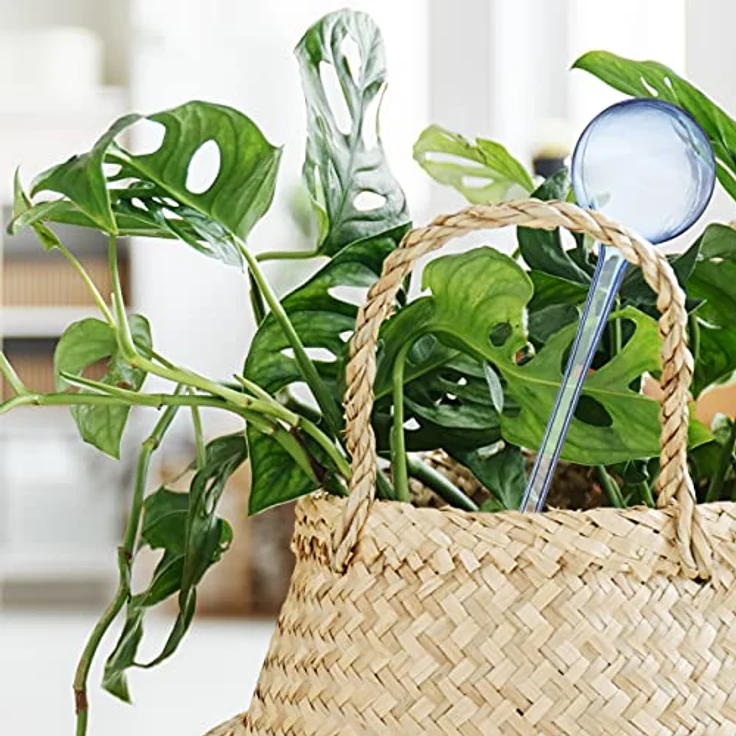 relaxdays Tropfer Bewässerungskugeln 4er Set, Transparent, bis zu 2 Wochen Bewässerung, 250 ml Fassungsvermögen, 27 cm Länge – Bild 3