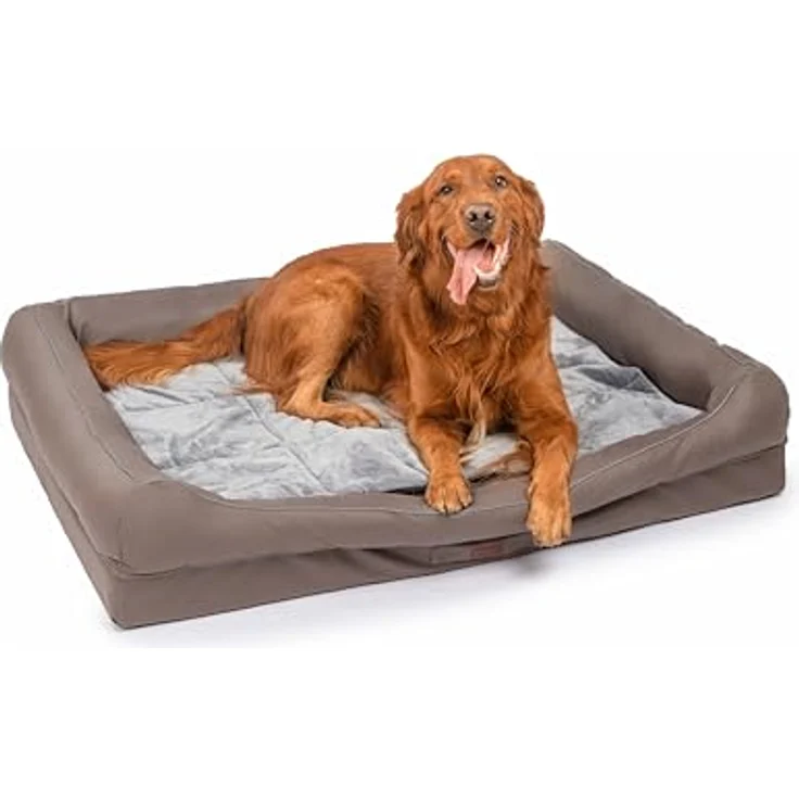 RAIKOU Hundebett mit abnehmbarem Kissen, gepolstert und waschbar – Schlafplatz, Hundekissen, Hundesofa, Hundematte (Braun, 100 * 80 * 9cm) – Bild 4