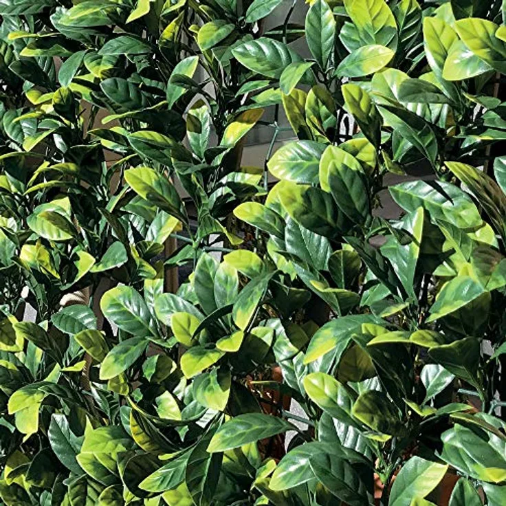 TENAX Divy 3D Plus Laurus, Synthetische Hecke 1,00 x 3 m Blätter Typ Lauro auf Kunststoffnetz