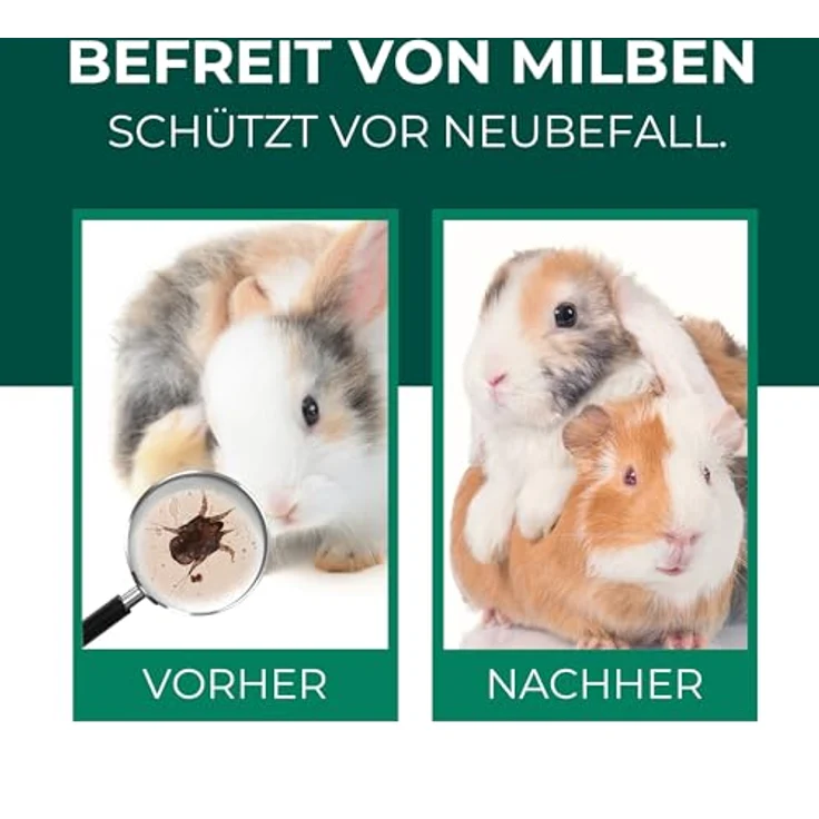 Silberkraft Milbenspray für Hase/Kaninchen, effektives Kontakt- und Umgebungsspray, 500 ml, ohne Nervengifte – Bild 2