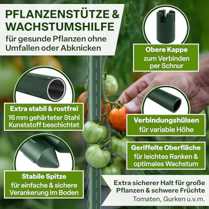 TTL GARDEN Rankstäbe 5er Set, 240 cm x 16 mmØ, grün - extra stabile Pflanzstützen aus rostfreiem Stahl mit Kunststoffbeschichtung für Tomaten, Paprika, Gurken und Blumen – Bild 3