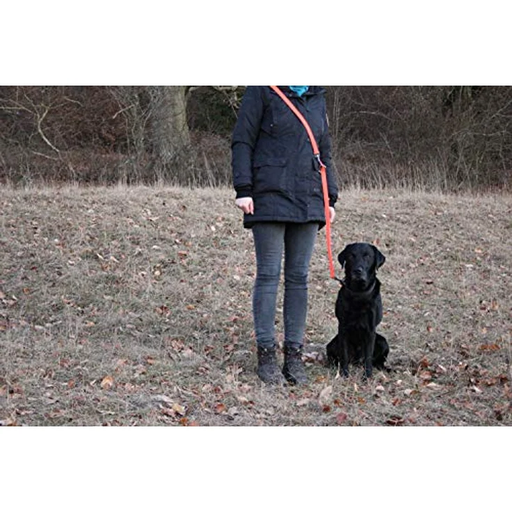 Activity4Dogs Hundeleine für große Hunde, reflektierend Signal-orange, 3-fach verstellbar, 2m lang, Made in Germany – Bild 3