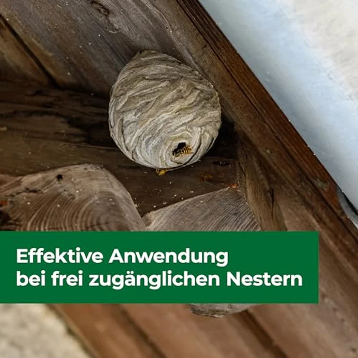 PROTECT HOME Wespennest Kleber 500 ml - Insektizidfreie Bekämpfung von Wespennestern, Wirkung über mehrere Tage, Powerdüse (blau) – Bild 4