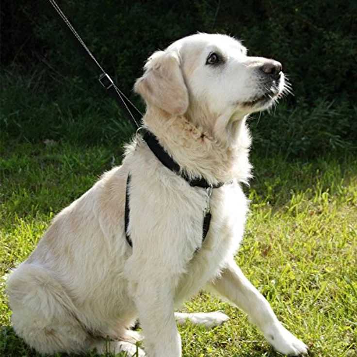 MAXI LEADER Erziehungsgeschirr Größe 4 schwarz – Bild 3