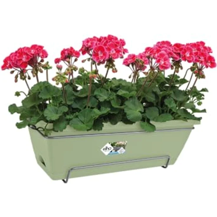 elho Barcelona Allin1 50 Übertopf für Balkon, 100% recyceltes Plastik, Ø 49.5 x H 18.5 cm, integrierter Untersetzer, Grün/Pistazien Grün – Bild 3