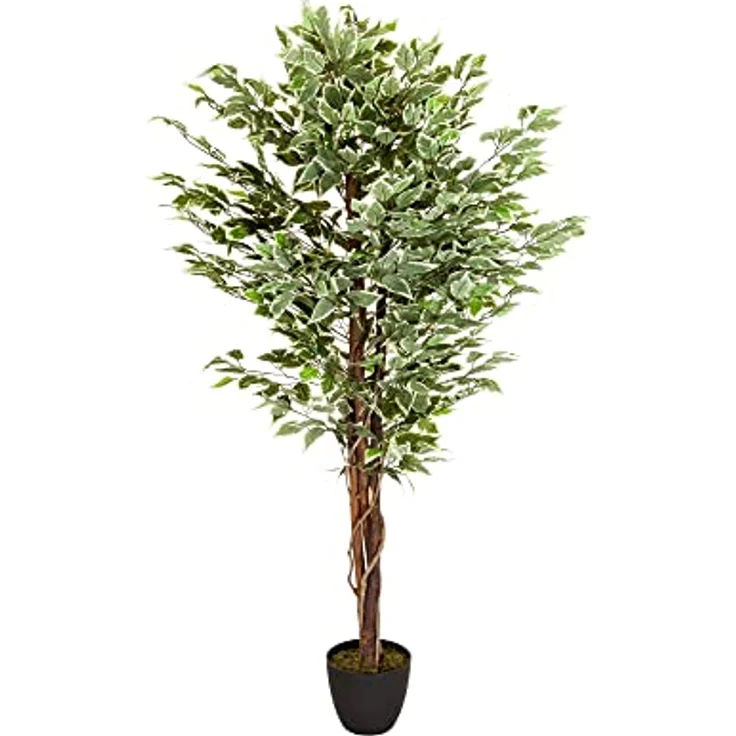 hjh OFFICE Kunstpflanze FICUS Benjamini Höhe 165 cm Grün/Weiß 1008 Blätter Deko Zimmerpflanze Birkenfeige künstlich, 871000 – Bild 1