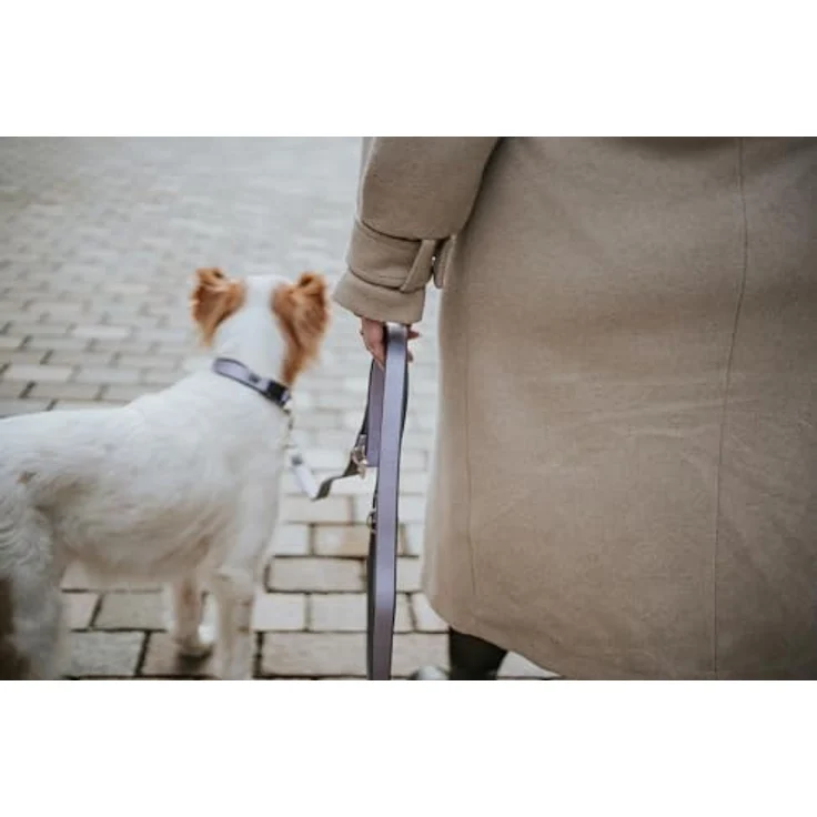 HUNTER Verstellbare Führleine NEOPREN, Lavendel-grau, strapazierfähiges Nylon, 3-fache Verstellmöglichkeit, weiche Neoprenpolsterung, Größe: 25-200 – Bild 3