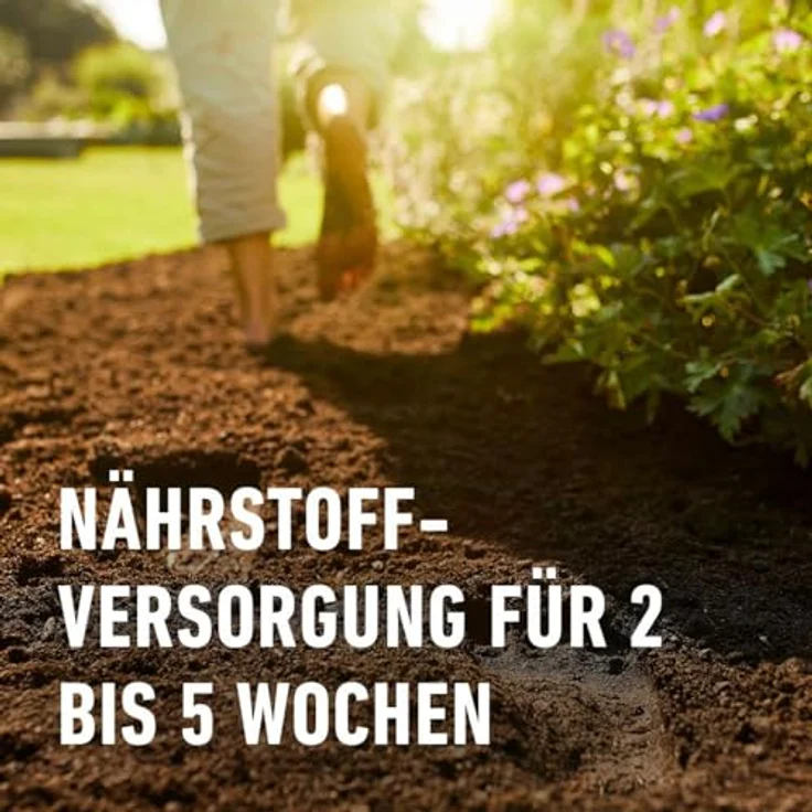 COMPO Bio Pflanzerde torffrei 50L – Bild 3
