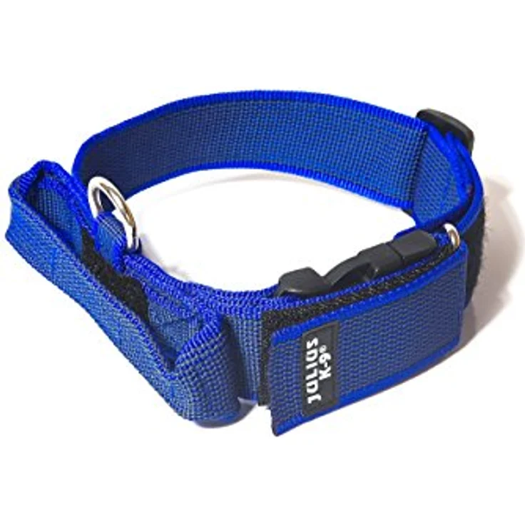 JULIUS-K9, 100HA-K-B-2015 Color & Gray K9-Halsband mit Haltegriff, Sicherheitsverschluss und Logo, 40 mm*38-53 cm, verstellbar, blau-grau – Bild 1