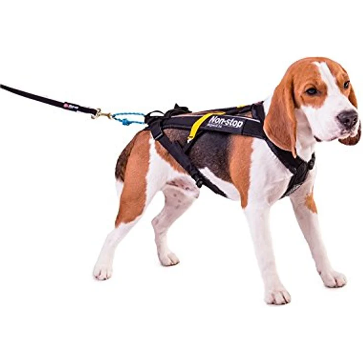 Non-stop dogwear Dog Copenhagen Free Motion Canicross-Geschirr T5 - Hochleistungs-Geschirr für sportliche Aktivitäten – Bild 1