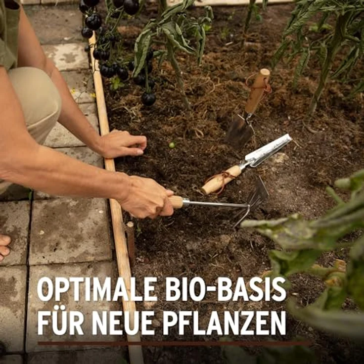 Substral Naturen Pflanzerde 40 L – Bild 4