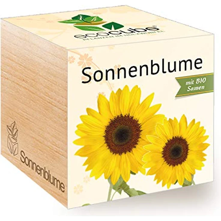 Feel Green Ecocube Sonnenblume 296268, Bio-Zertifiziertes Anzuchtset mit 100% Eco Friendly Materialien, Pflanzen im Holzwürfel, Made in Austria – Bild 1