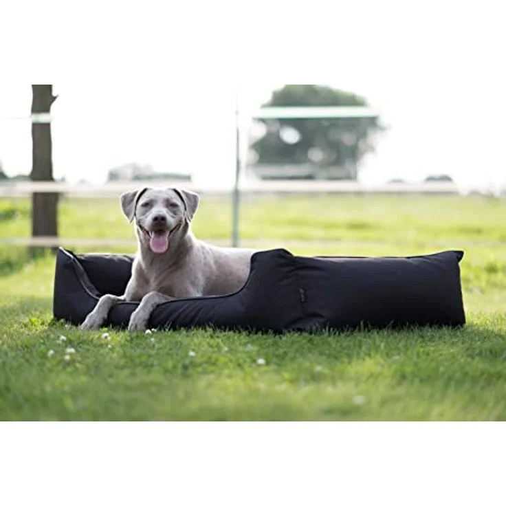 Lebon - Hundebett Paula Plus Schwarz - Orthopädisch - 3 Größe - 80 cm - 100cm - 120cm -Mit Reißverschluss und waschbar - Pflegeleicht - Schmutz - und Wasserabweisend (L) – Bild 4