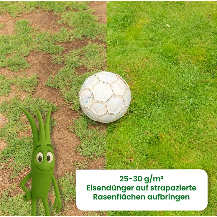 A&G-heute 25kg Eisendünger Rasendünger Grünling 20 Eisen-2-Sulfat für ca. 1000m² Rasenfläche für sattes Grün – Bild 5