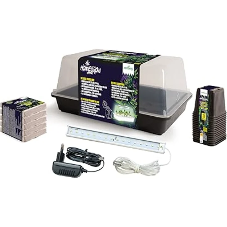 Romberg Homegrow Basic Starter Box, Anzuchtset mit belüftetem Gewächshaus, 5 W LED-Beleuchtung und Premium Anzuchtsubstrat, Made in Germany – Bild 2