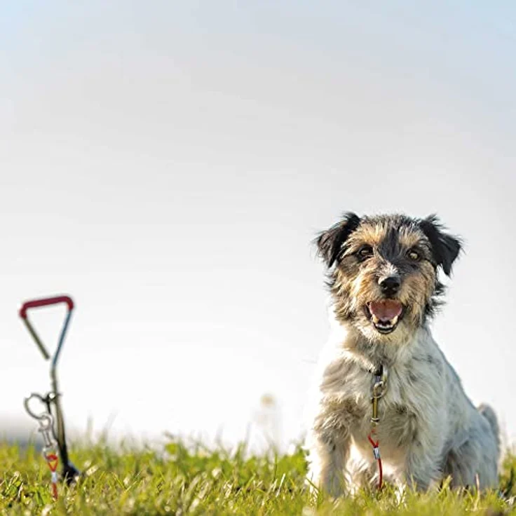 Trixie Hofleine bis 50kg 5 m – Bild 3