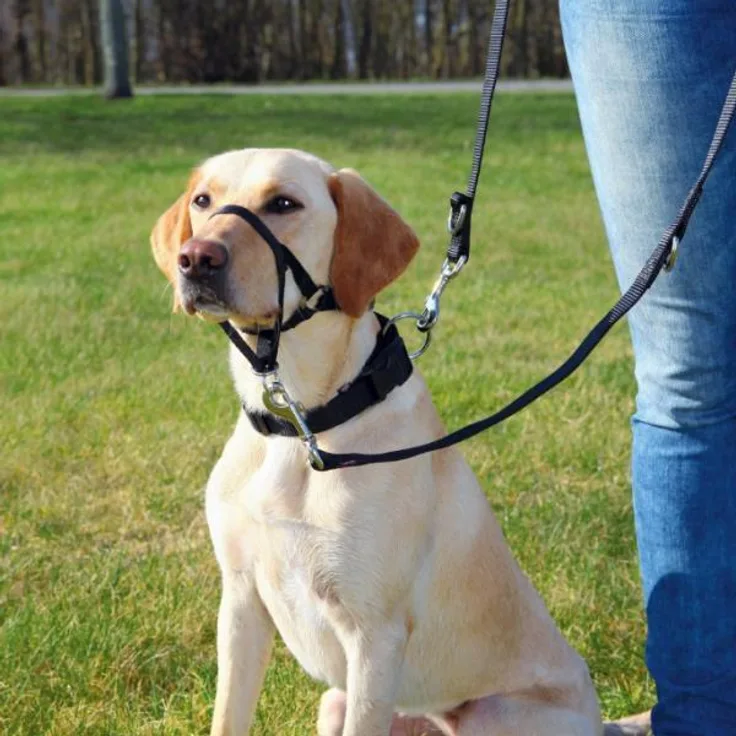 Trixie Top Trainer Ausbildungsgeschirr schwarz M: 27 cm