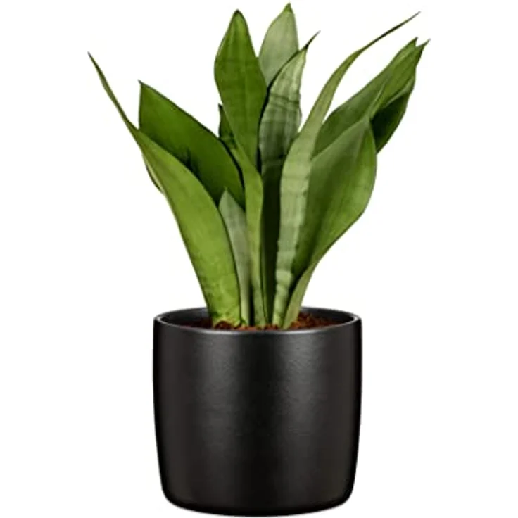 Scheurich Solido, Blumentopf aus Keramik, Farbe: Ebano, 28 cm Durchmesser, 25,3 cm hoch, 12,9 l Vol. – Bild 4
