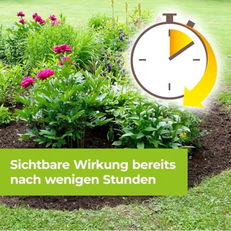 Protect Garden Permaclean Duo Unkraut & Wurzel-Ex 1l, Effektives Unkrautmittel mit zweifach Wirkung gegen alle Unkräuter, Glyphosatfrei – Bild 6