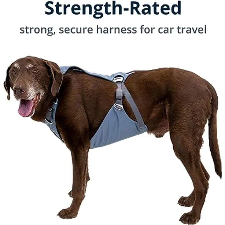 Ruffwear Hunde-Geschirr Load Up™ 30602-413, Autosicherheitsgeschirr in Slate Blue – Bild 3