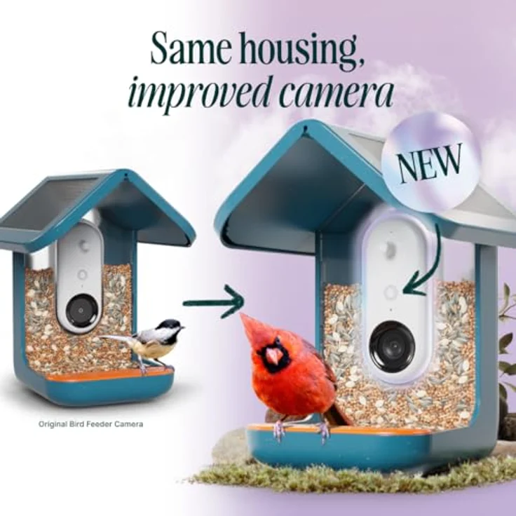 Bird Buddy Pro Solar Vogelfutterstation mit Kamera – Ai-Vogelarten-Identifikation, 5 MP Fotos, 2K Ultra Video Live Stream Kamera, HDR, Zeitlupenvideo, 6,6 cm Fokus – Blau – Bild 2