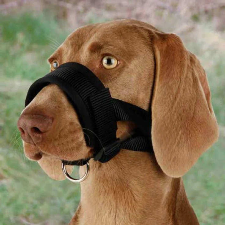 Trixie Maulschlaufe Nylon schwarz XXL: 28 - 38 cm – Bild 2