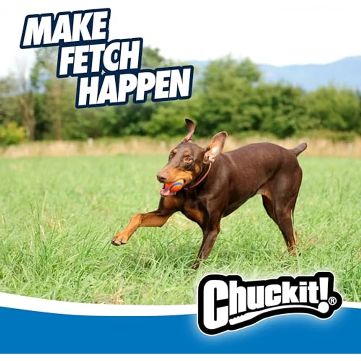 Chuckit! Ultra Ball L - 1 Stk. – Bild 6