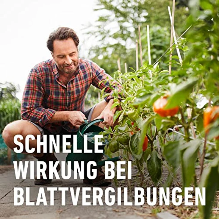 Compo Eisendünger, 250 ml – Bild 4