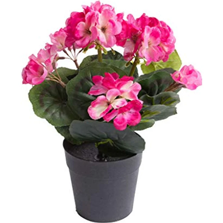 Botanic-Haus Kunstblume Geranie, 6 Stiele, Höhe 26 cm, fertig im Topf für Frühlingsdekoration – Bild 1